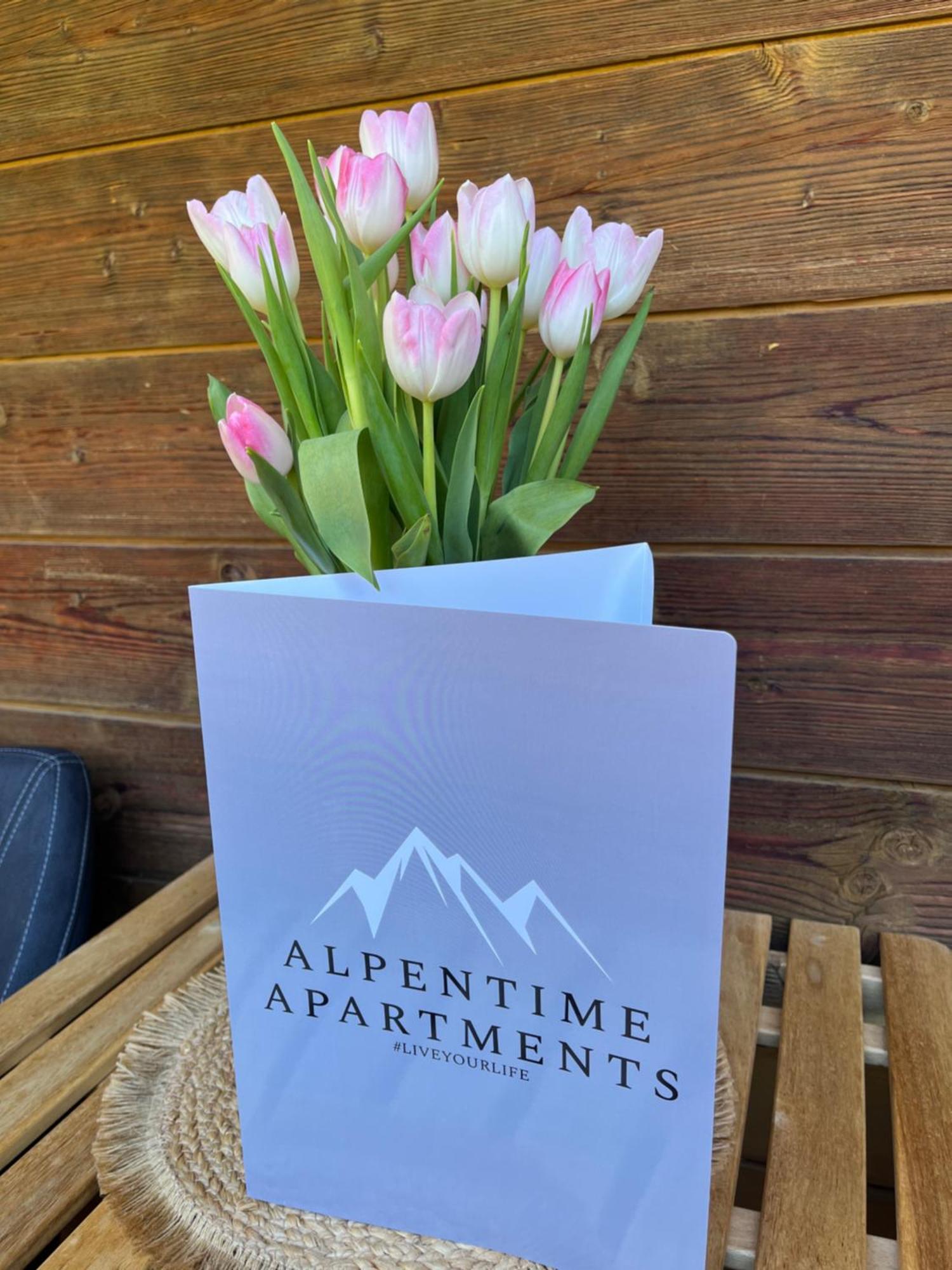 Alpentime Apartments Neustift im Stubaital Exterior photo